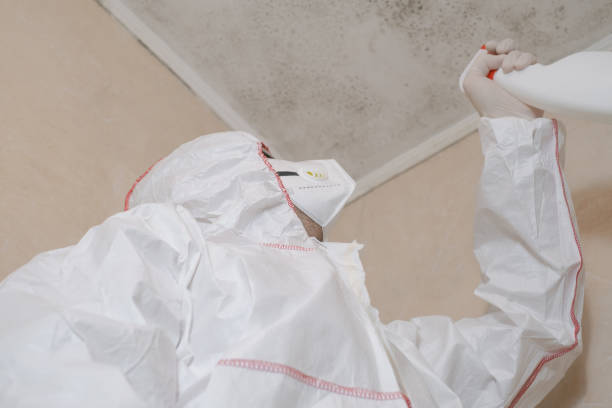 Best Crawl Space Mold Removal  in Bent, NE
